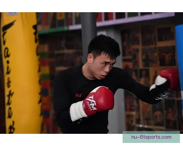 拳击数据分析:挖掘胜负密码,解析擂台奥秘 拳击数据分析:挖掘胜负密码,解析擂台奥秘