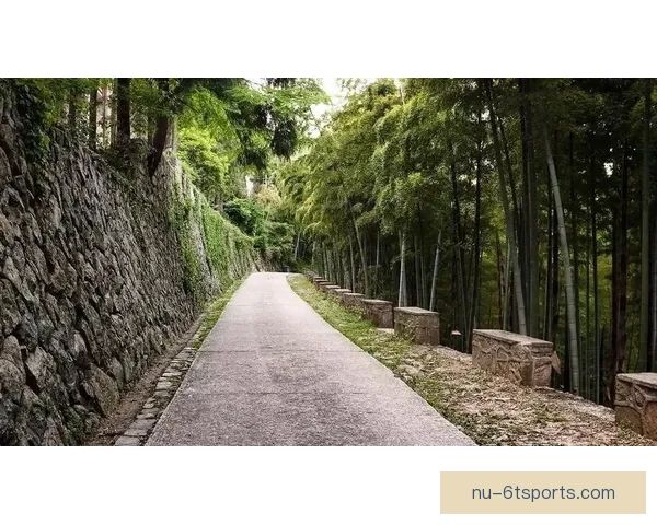 探索林间小径:越野跑训练全面指南 探索林间小径:越野跑训练全面指南