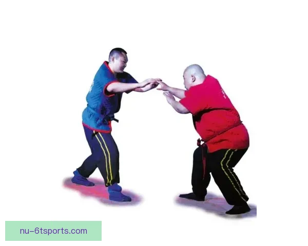 摔跤技巧大揭秘：提高战斗力的关键方法