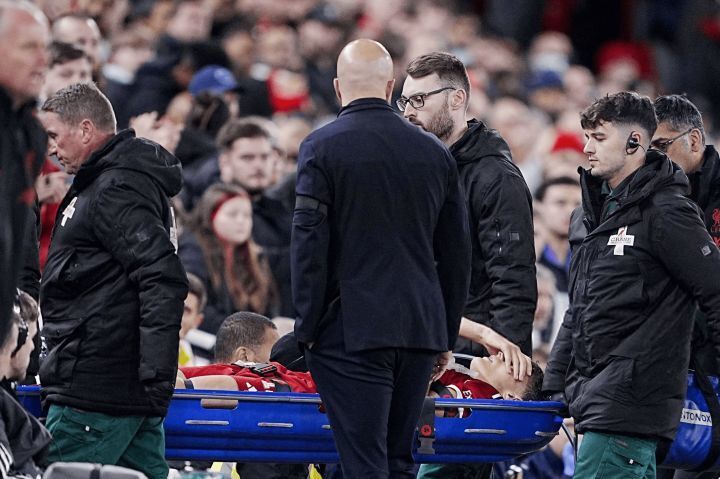 的确是令他, 那么他将会 的确是令他, 那么他将会