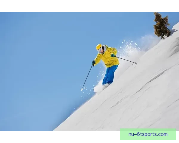 滑雪数据分析：从趋势分析到技术提升，解锁滑雪运动的更多可能