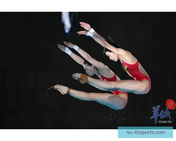 跳水冠军：优雅飞翔 梦想闪耀 绝技绽放