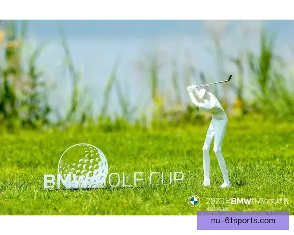 高尔夫杯赛：荣耀与激情